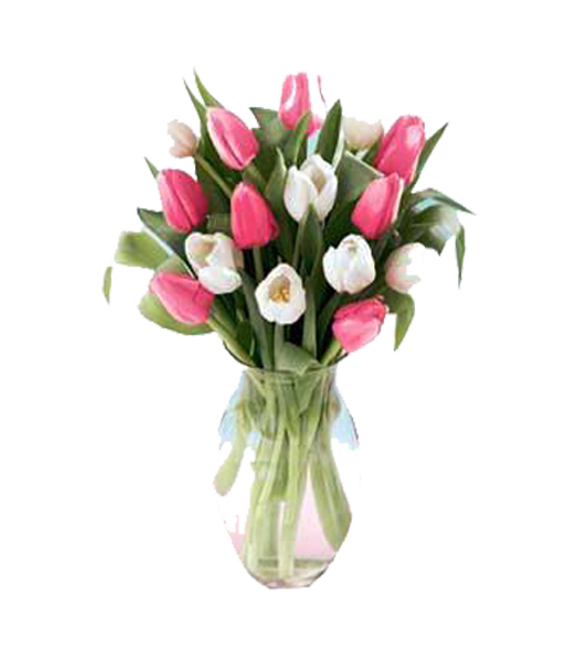 Florero de 20 Tulipanes